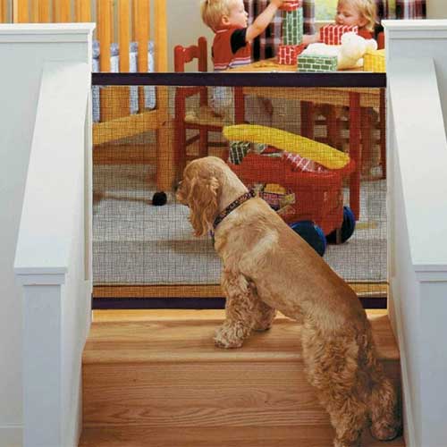 barieră-pentru-un-câine-unic